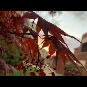 Meet your Posher, Elaina